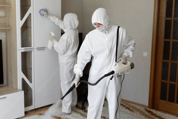 Best Local Mold Removal Service  in Follansbee, WV